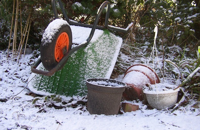 sådan gør du haven klar til vinter